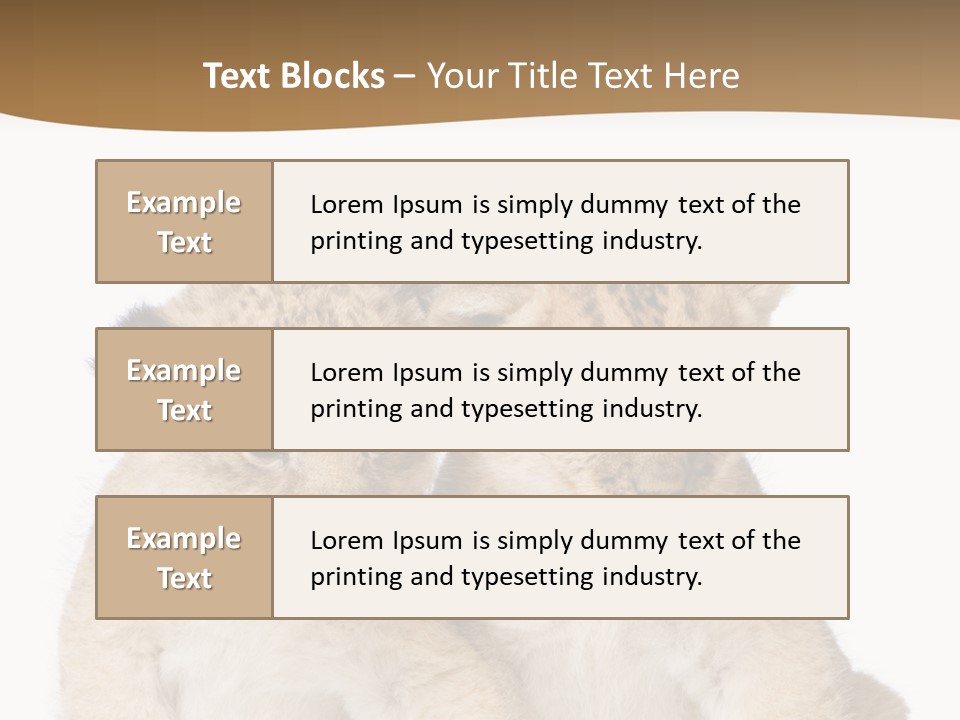 Whisker Animal Wild PowerPoint Template