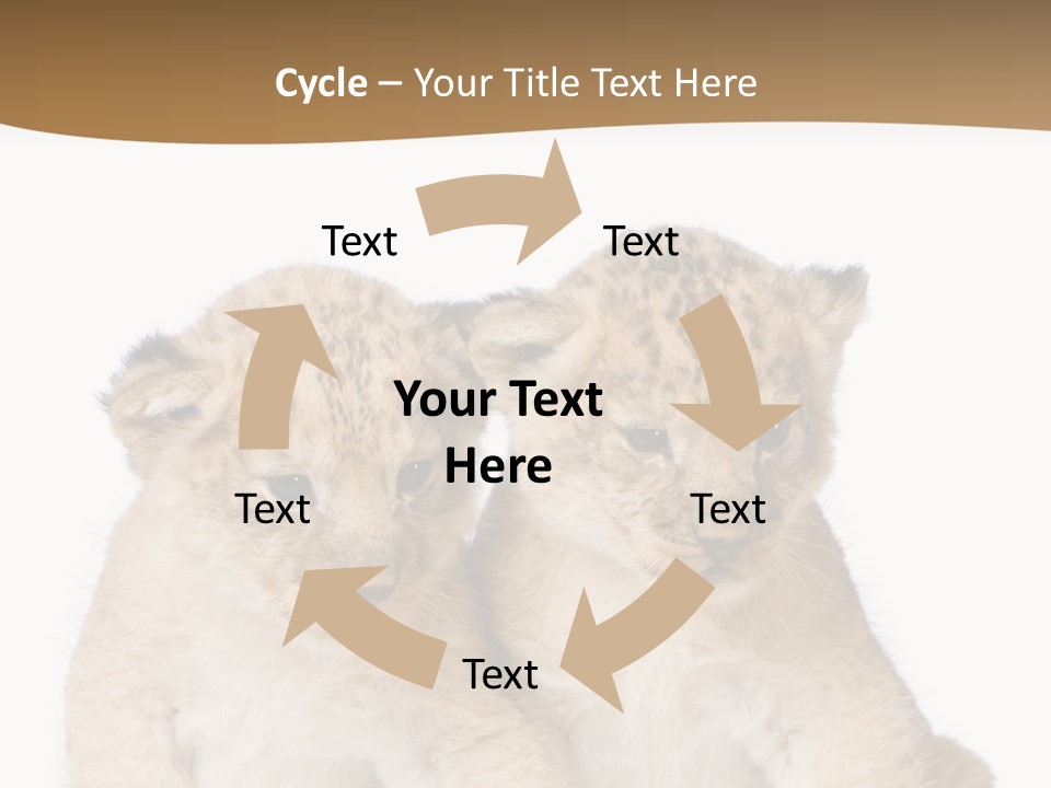 Whisker Animal Wild PowerPoint Template