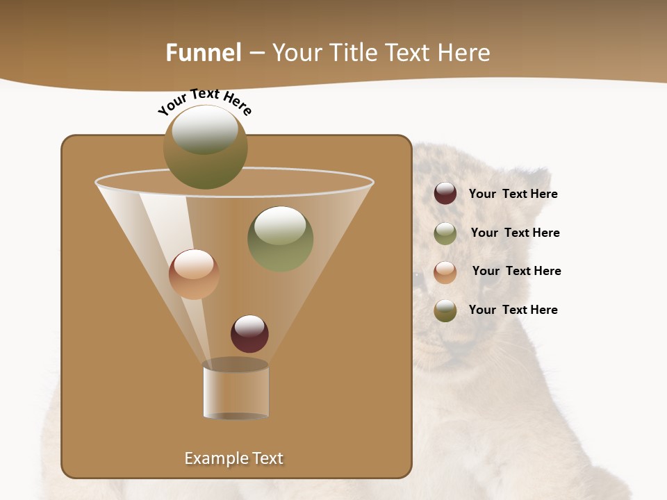 Whisker Animal Wild PowerPoint Template