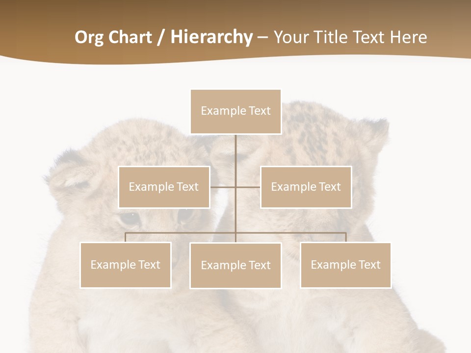 Whisker Animal Wild PowerPoint Template