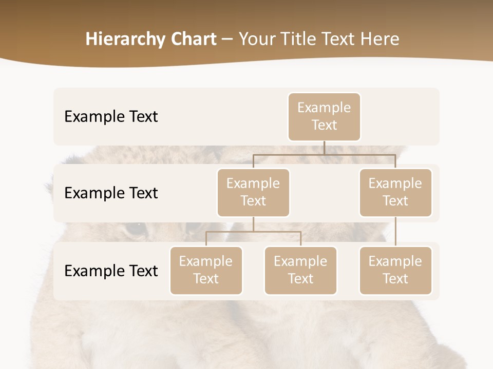 Whisker Animal Wild PowerPoint Template