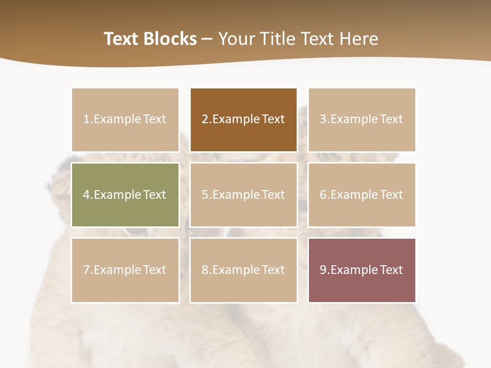 Whisker Animal Wild PowerPoint Template