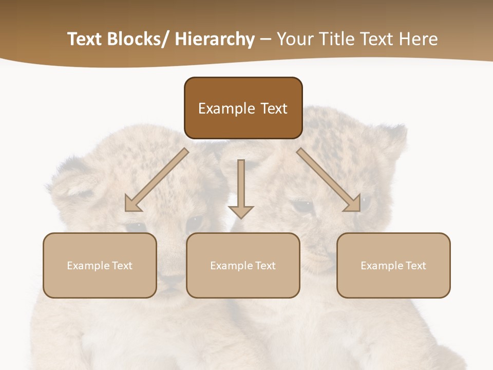 Whisker Animal Wild PowerPoint Template