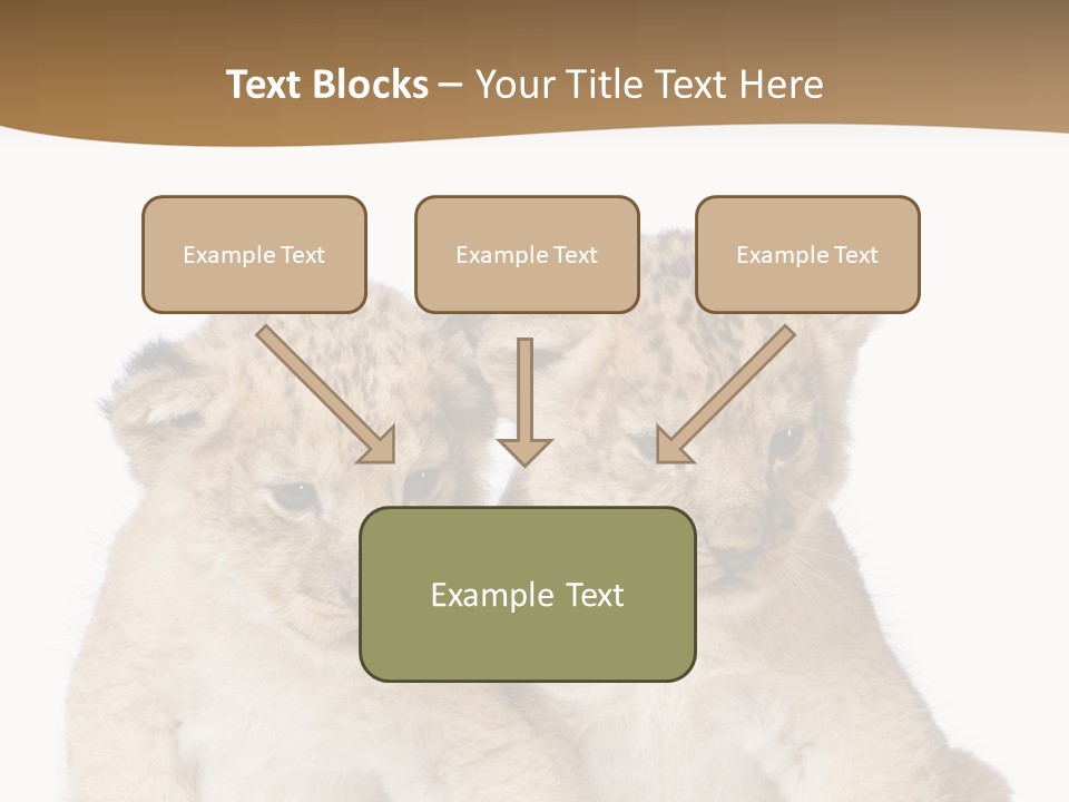 Whisker Animal Wild PowerPoint Template