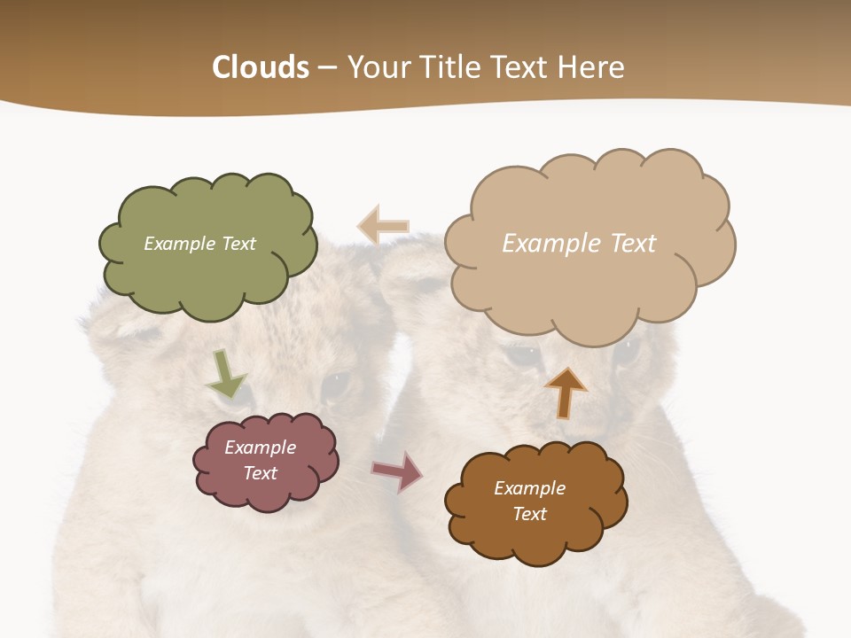 Whisker Animal Wild PowerPoint Template