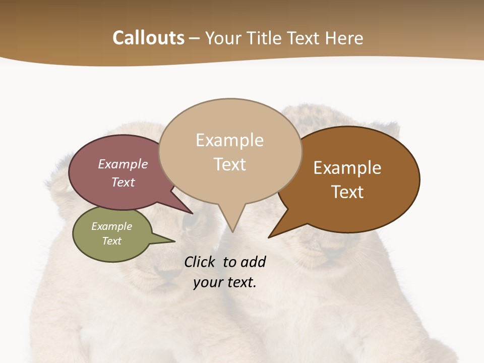 Whisker Animal Wild PowerPoint Template