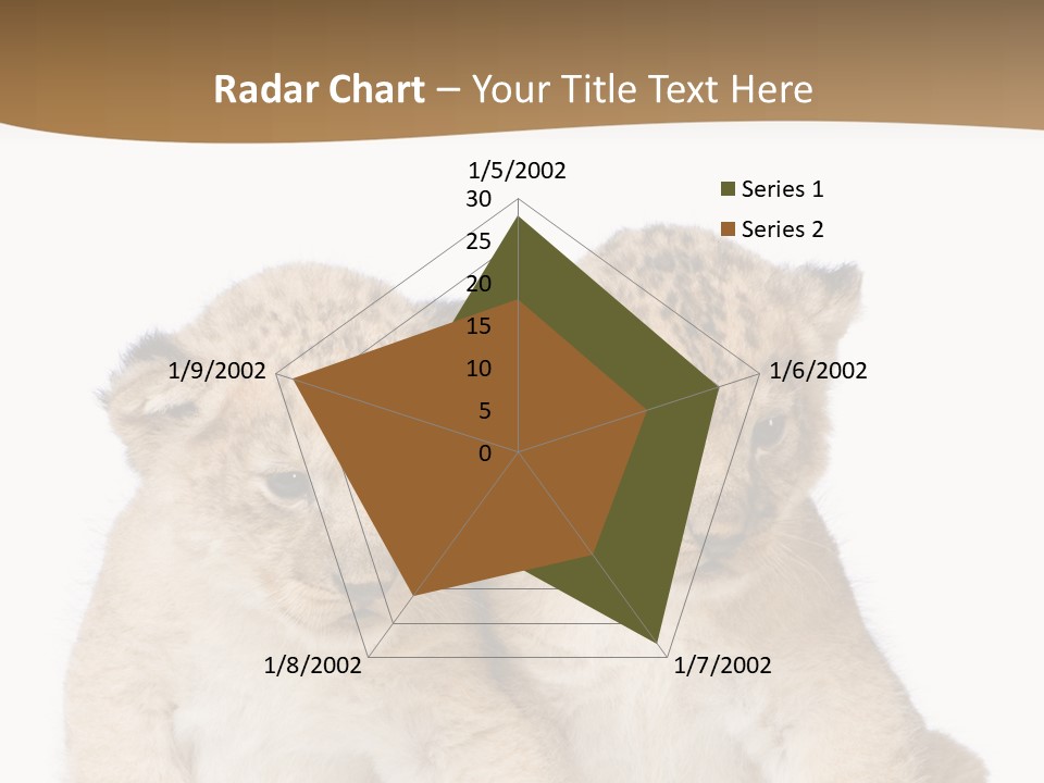 Whisker Animal Wild PowerPoint Template