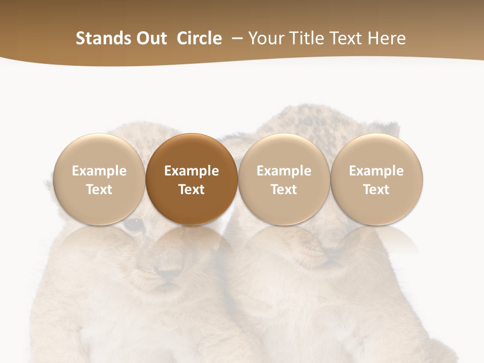Whisker Animal Wild PowerPoint Template