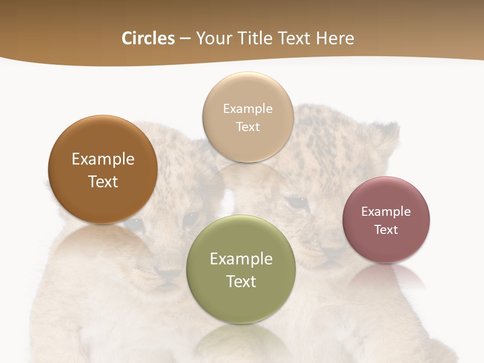 Whisker Animal Wild PowerPoint Template
