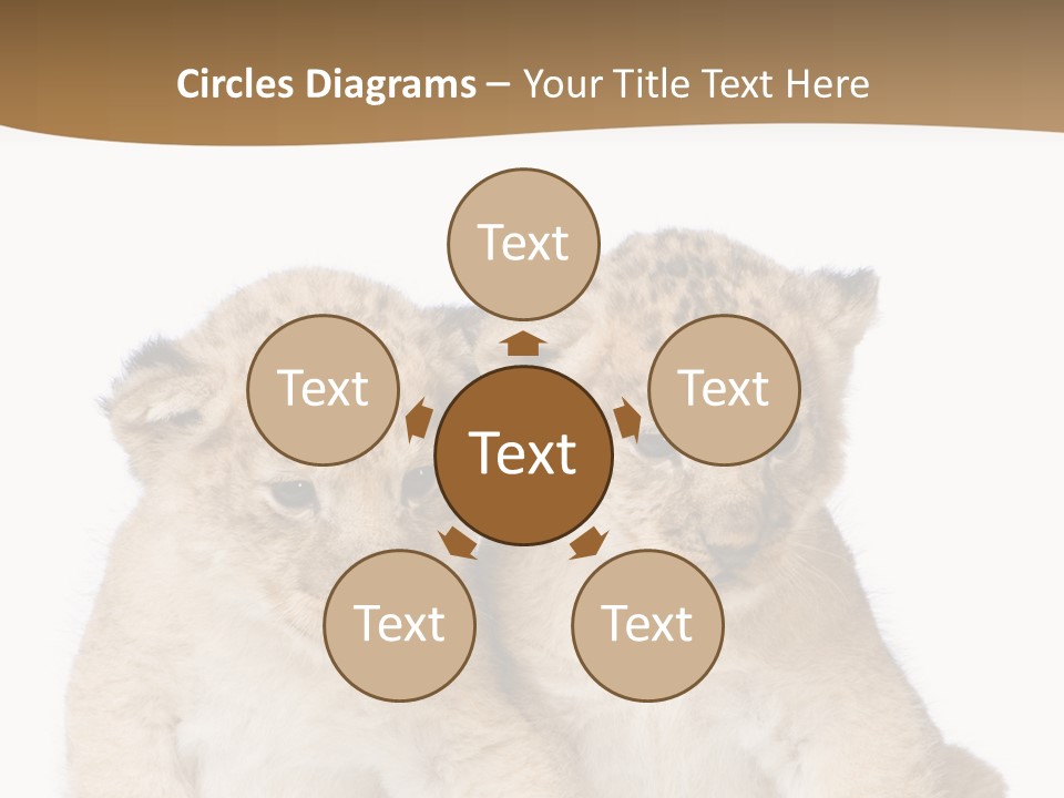 Whisker Animal Wild PowerPoint Template