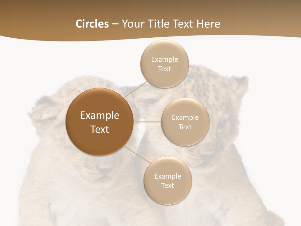 Whisker Animal Wild PowerPoint Template