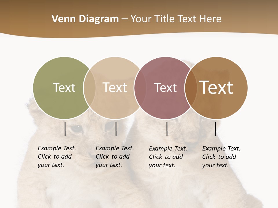 Whisker Animal Wild PowerPoint Template