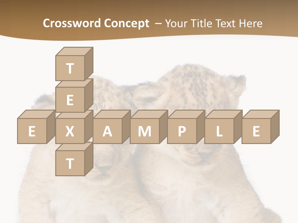 Whisker Animal Wild PowerPoint Template