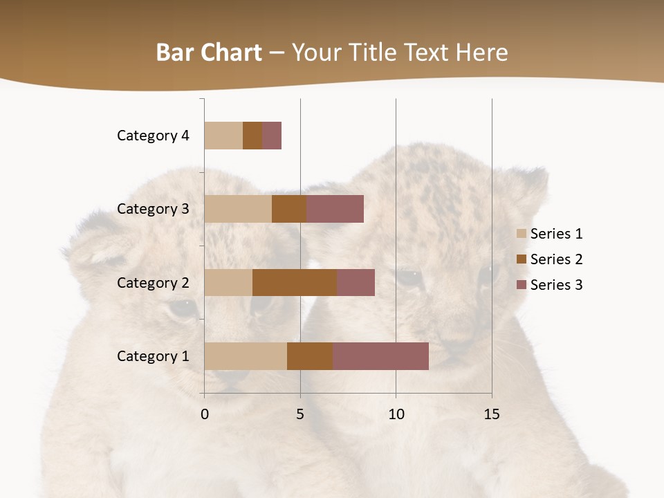 Whisker Animal Wild PowerPoint Template