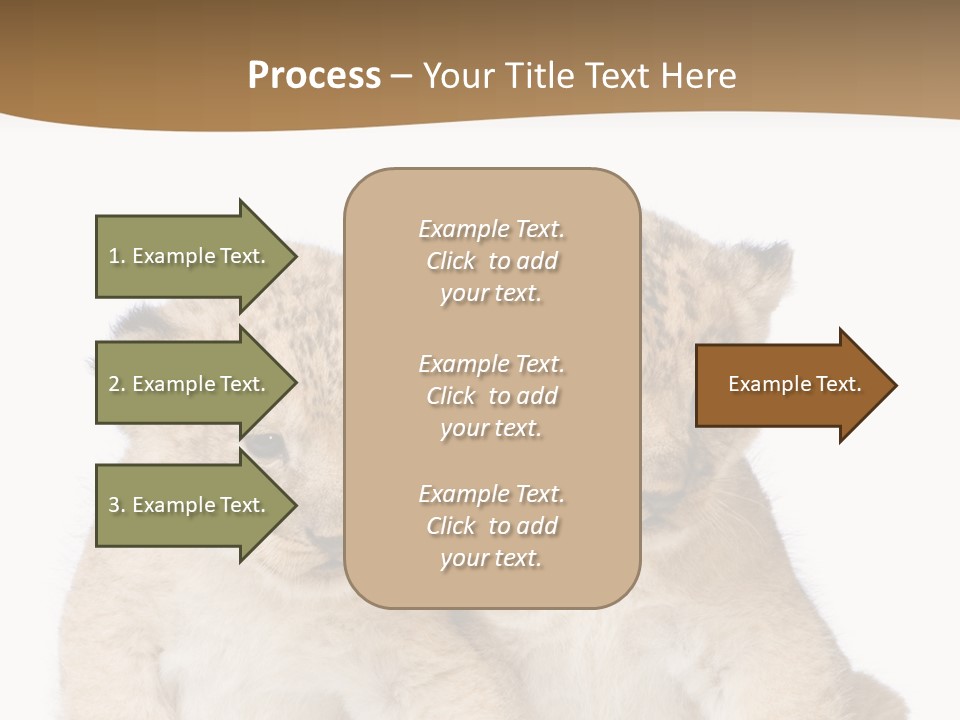 Whisker Animal Wild PowerPoint Template