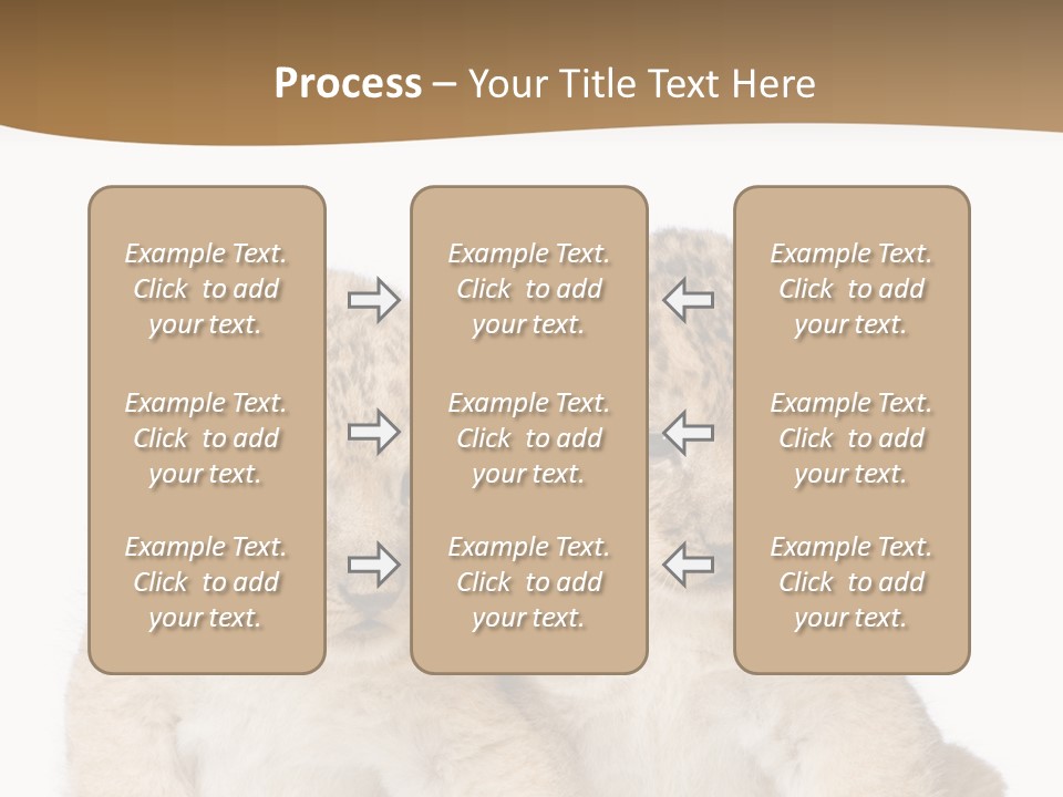 Whisker Animal Wild PowerPoint Template