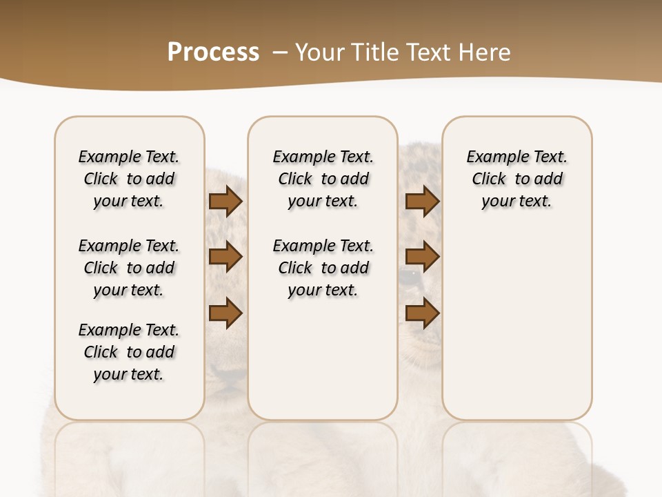 Whisker Animal Wild PowerPoint Template