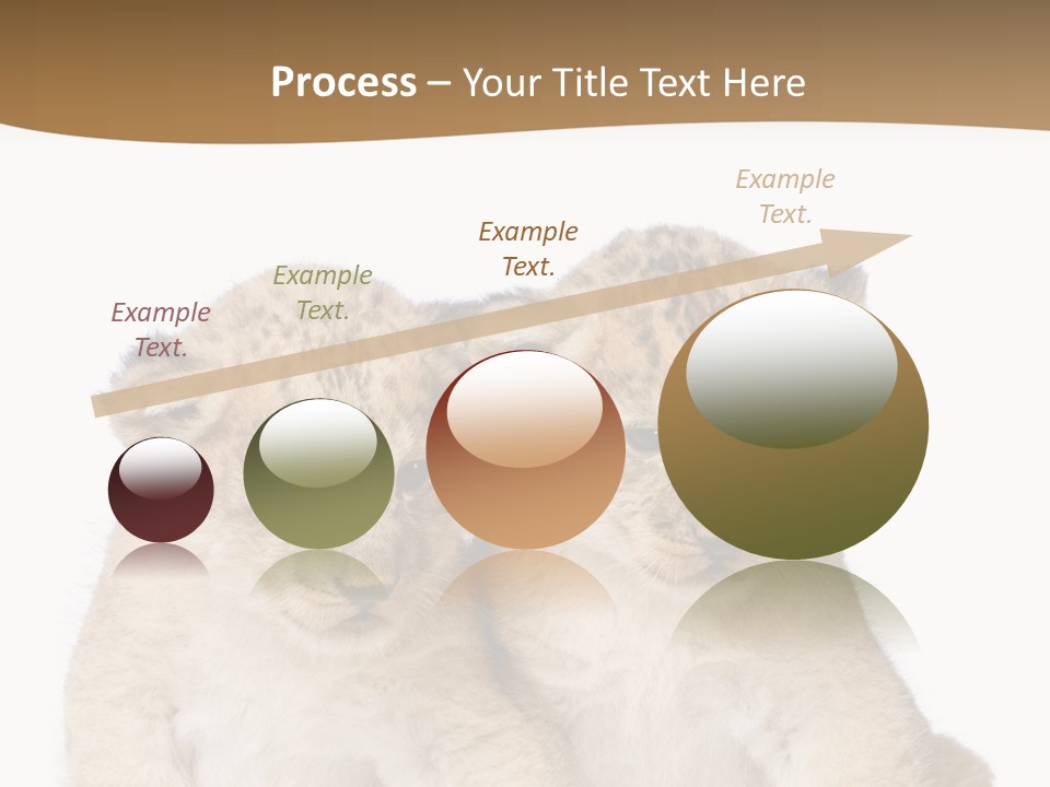 Whisker Animal Wild PowerPoint Template