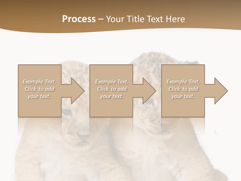 Whisker Animal Wild PowerPoint Template