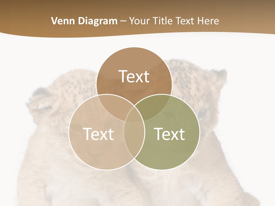 Whisker Animal Wild PowerPoint Template