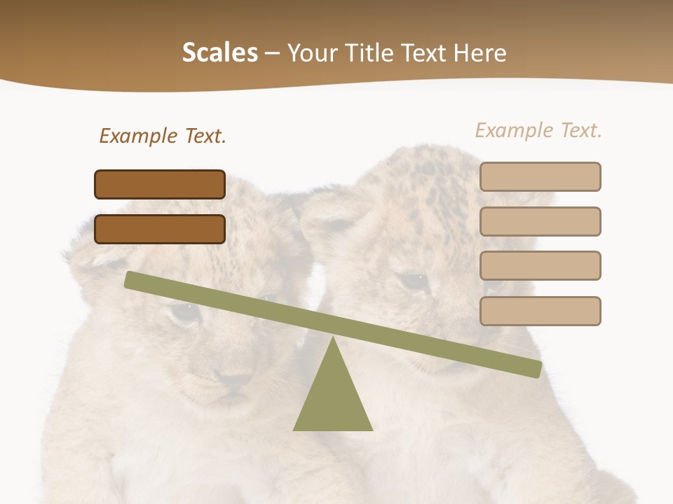 Whisker Animal Wild PowerPoint Template