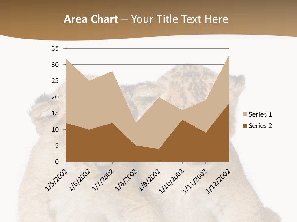 Whisker Animal Wild PowerPoint Template