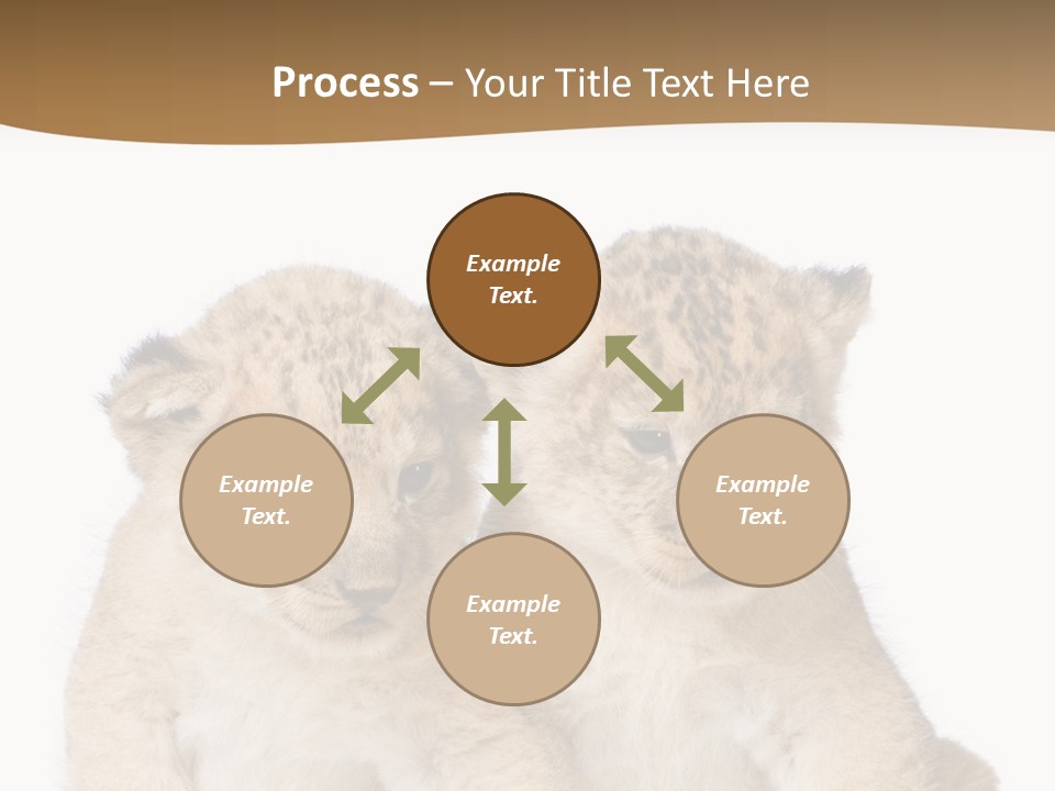 Whisker Animal Wild PowerPoint Template