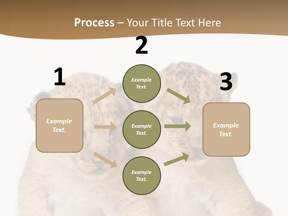 Whisker Animal Wild PowerPoint Template