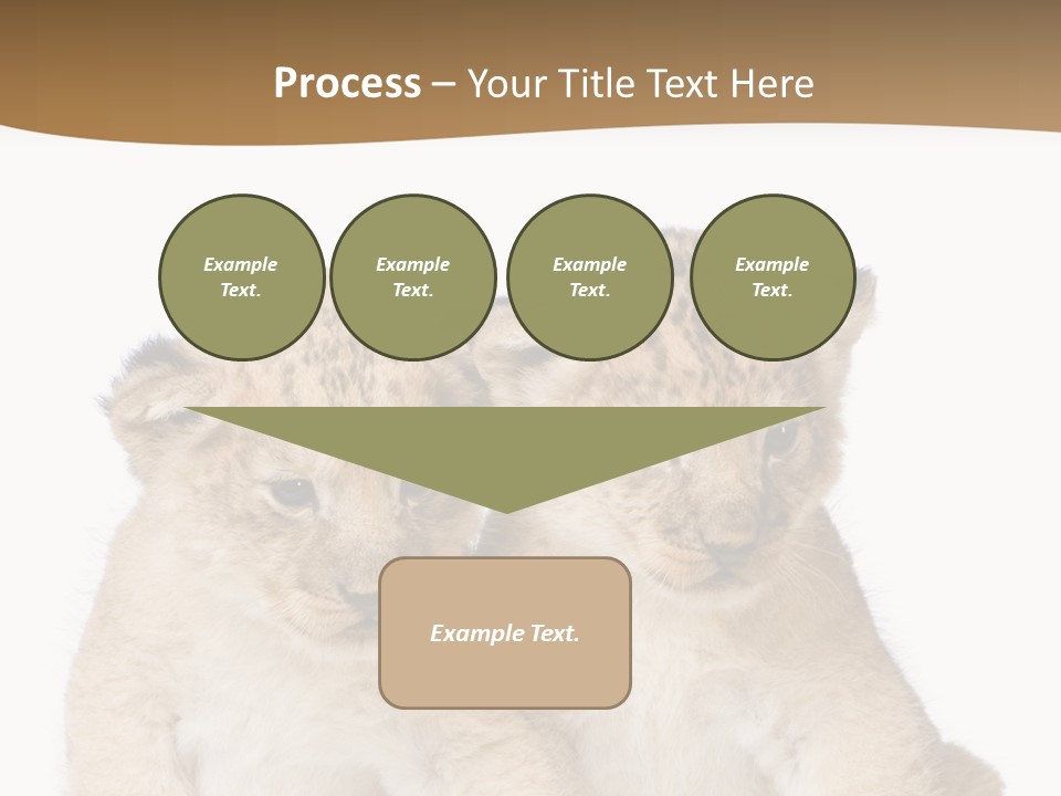 Whisker Animal Wild PowerPoint Template