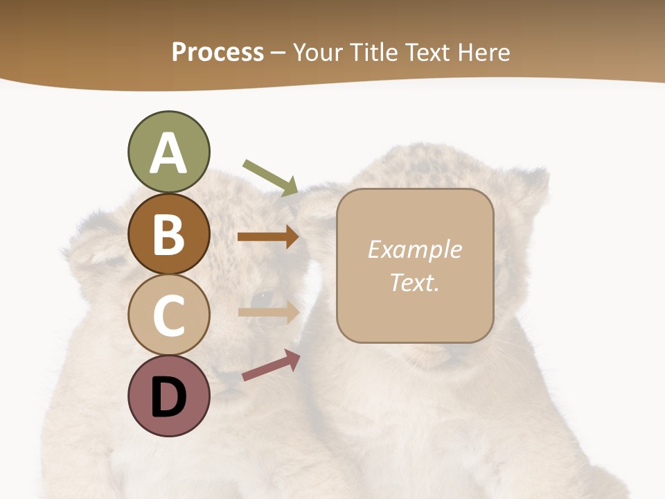 Whisker Animal Wild PowerPoint Template