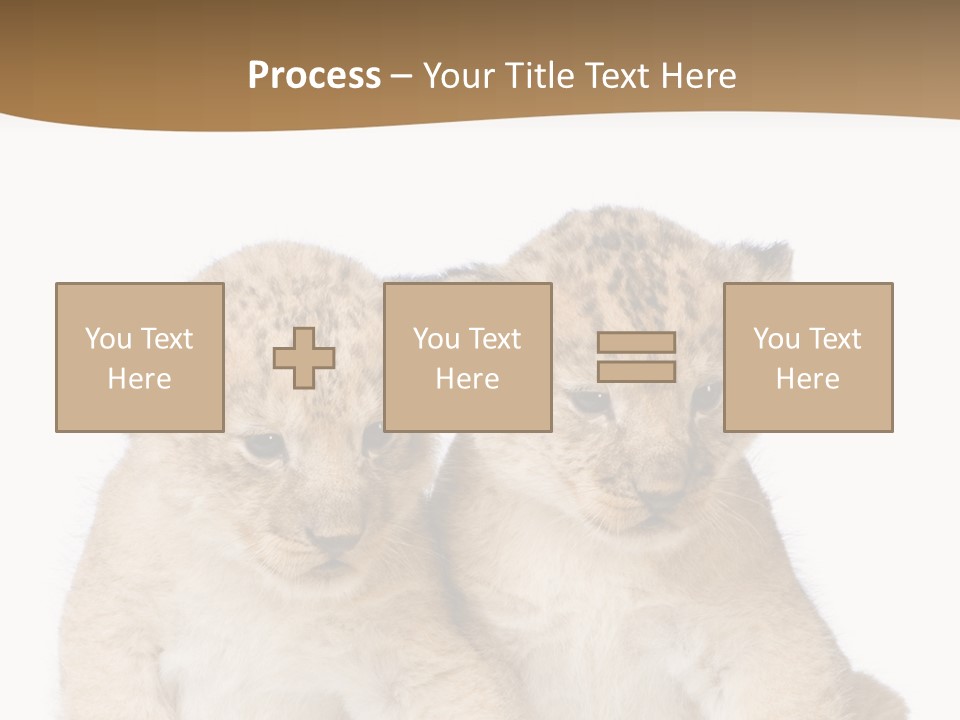 Whisker Animal Wild PowerPoint Template