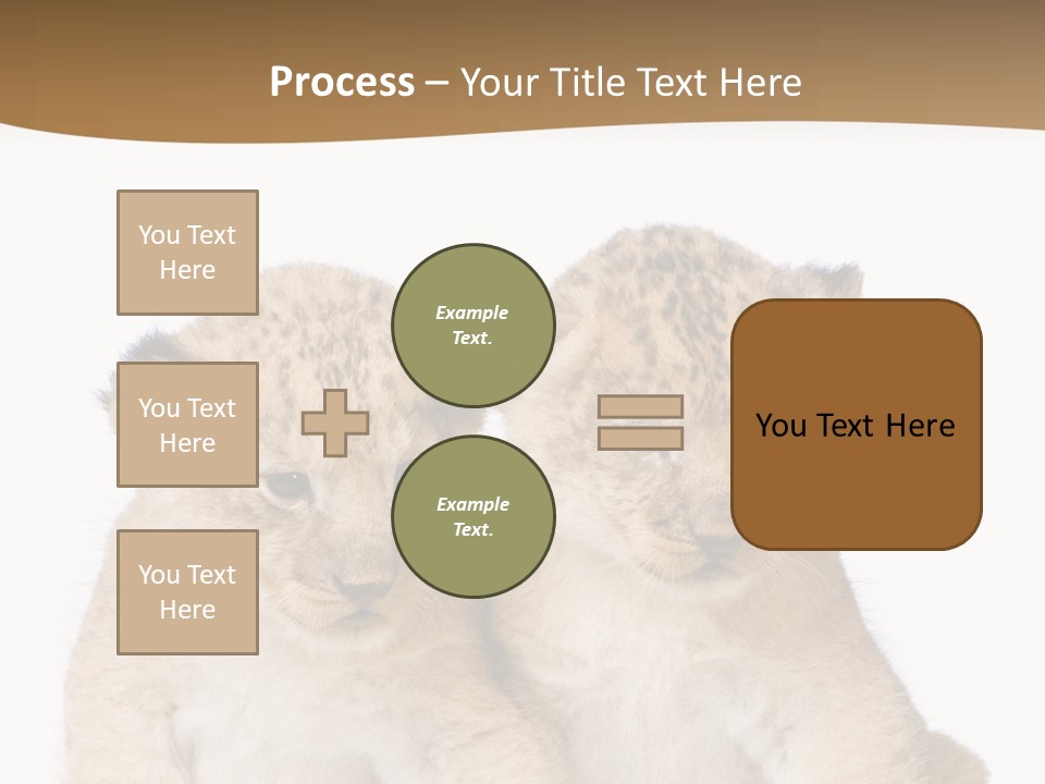 Whisker Animal Wild PowerPoint Template