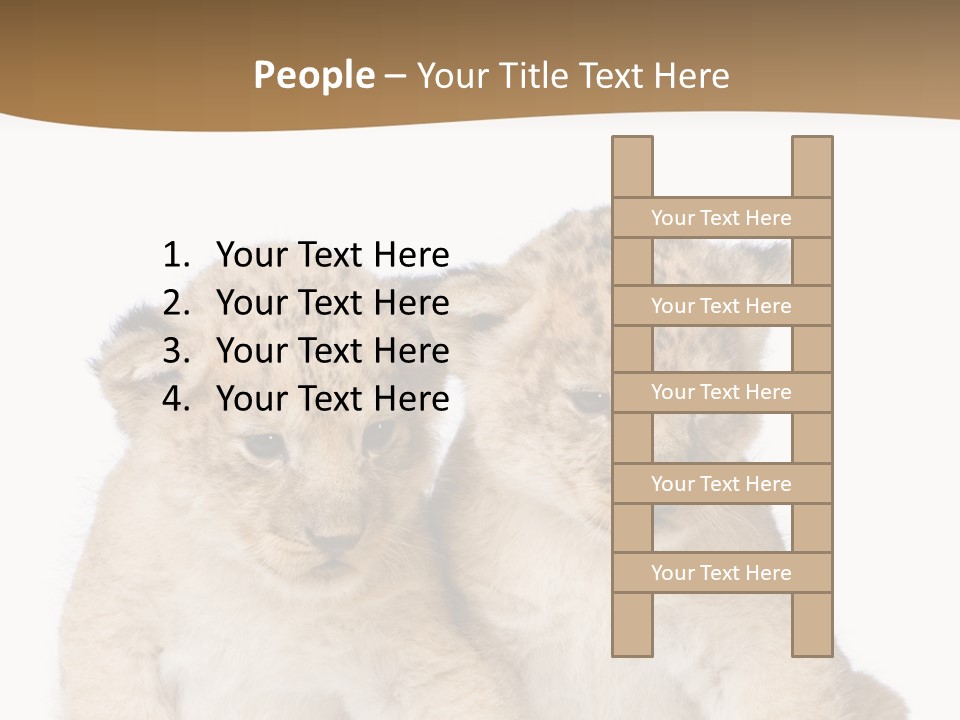 Whisker Animal Wild PowerPoint Template