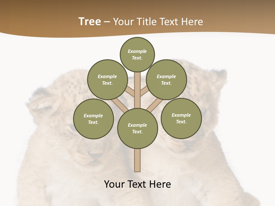 Whisker Animal Wild PowerPoint Template