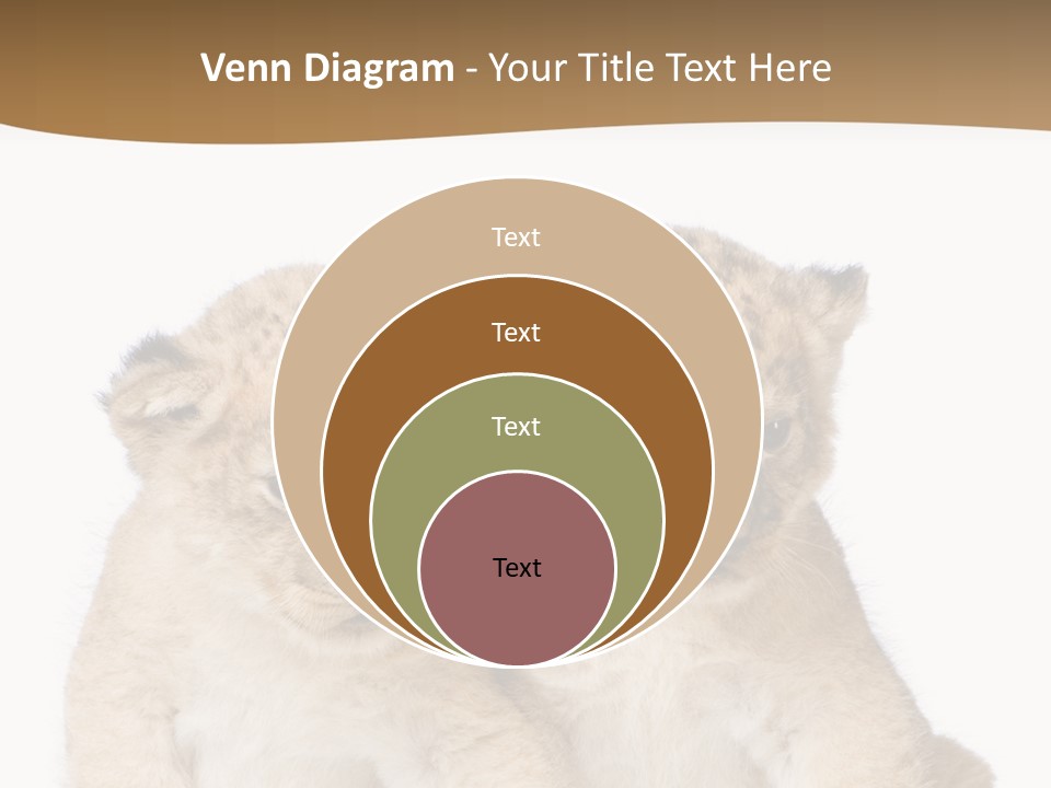 Whisker Animal Wild PowerPoint Template