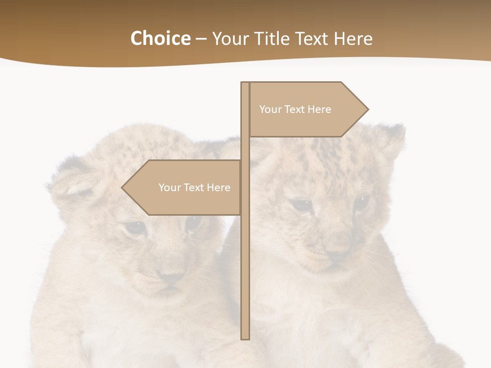 Whisker Animal Wild PowerPoint Template