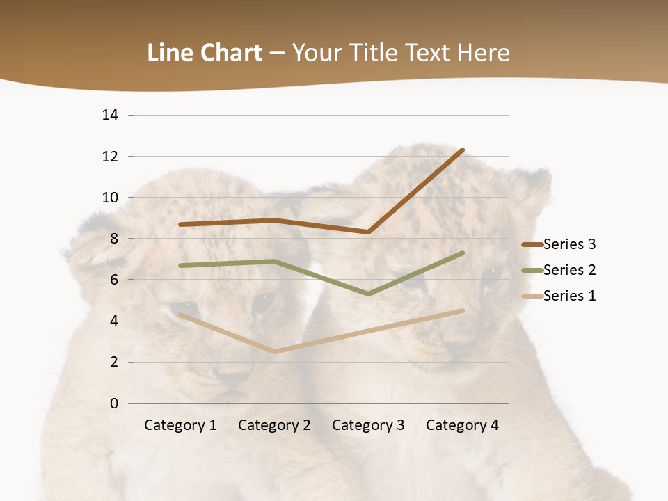 Whisker Animal Wild PowerPoint Template