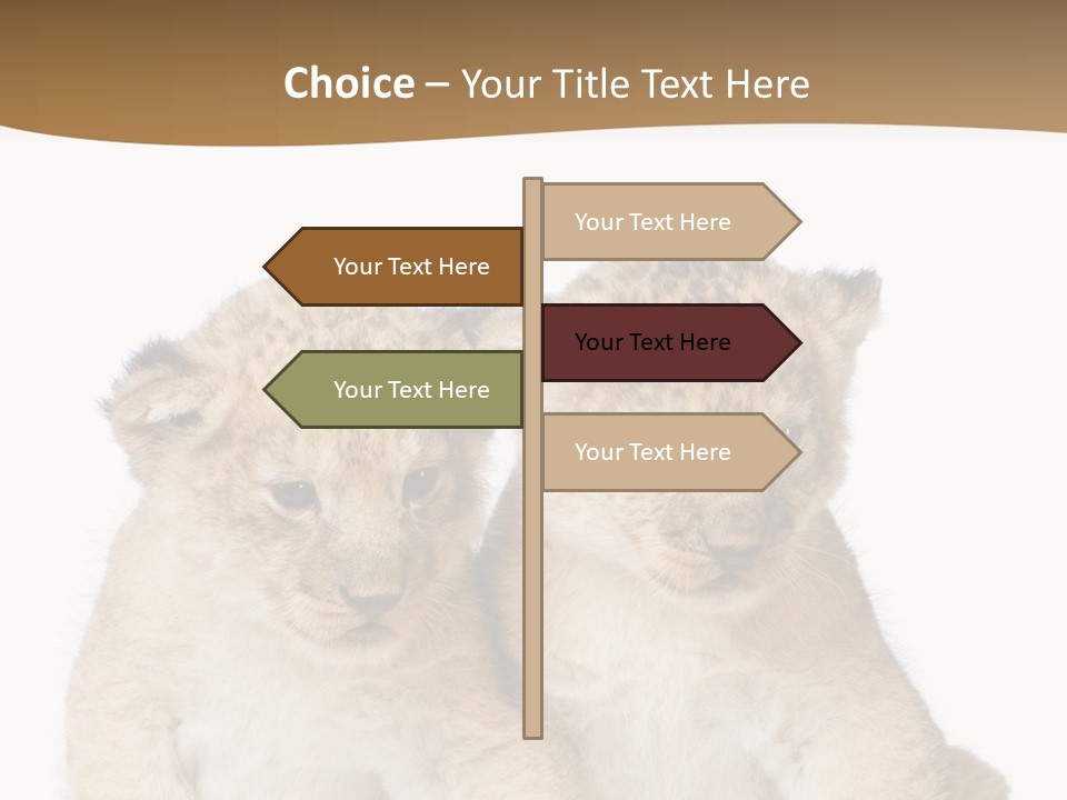 Whisker Animal Wild PowerPoint Template