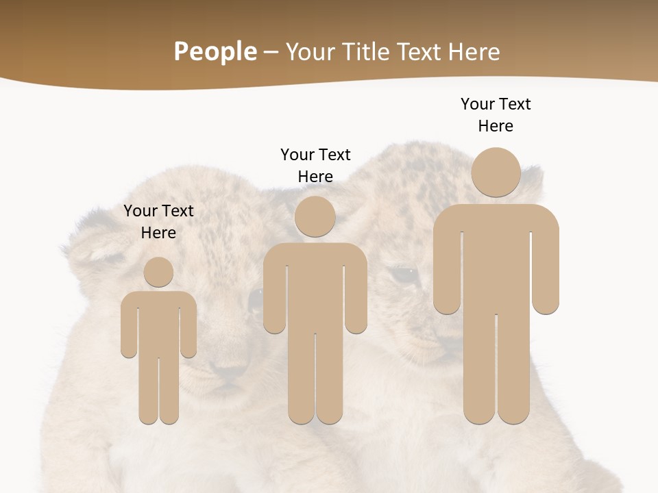 Whisker Animal Wild PowerPoint Template