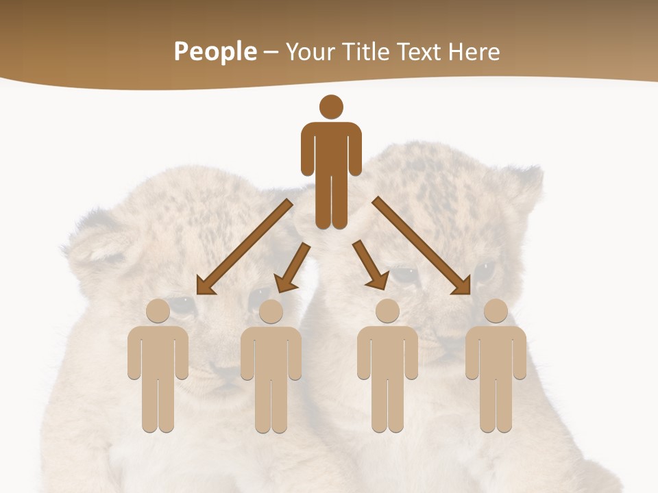 Whisker Animal Wild PowerPoint Template