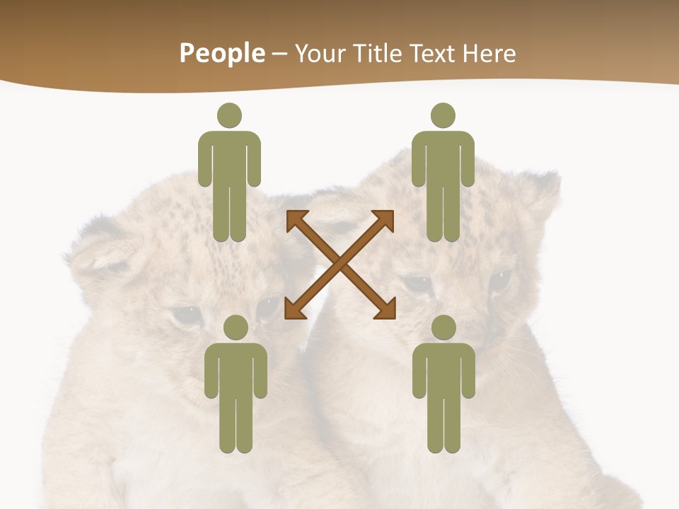 Whisker Animal Wild PowerPoint Template