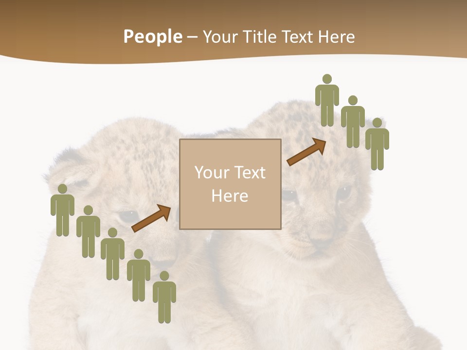 Whisker Animal Wild PowerPoint Template