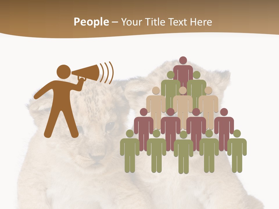 Whisker Animal Wild PowerPoint Template