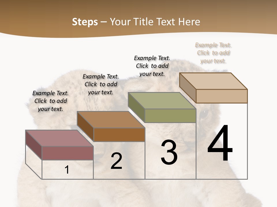 Whisker Animal Wild PowerPoint Template