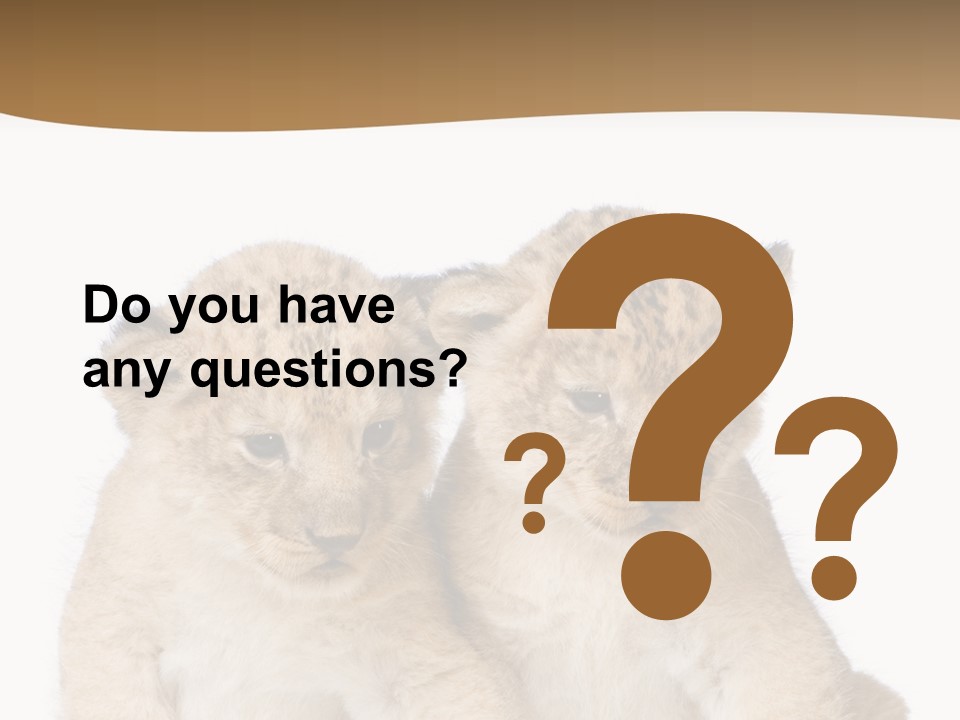 Whisker Animal Wild PowerPoint Template