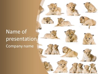 Ensemble Big Five Small PowerPoint Template
