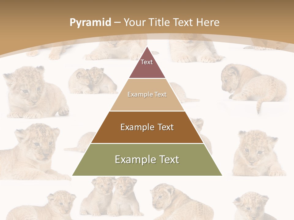 Ensemble Big Five Small PowerPoint Template