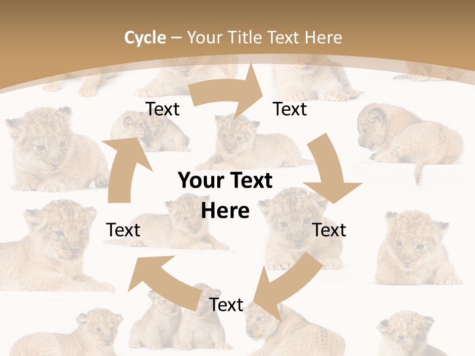 Ensemble Big Five Small PowerPoint Template