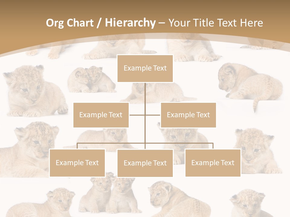 Ensemble Big Five Small PowerPoint Template