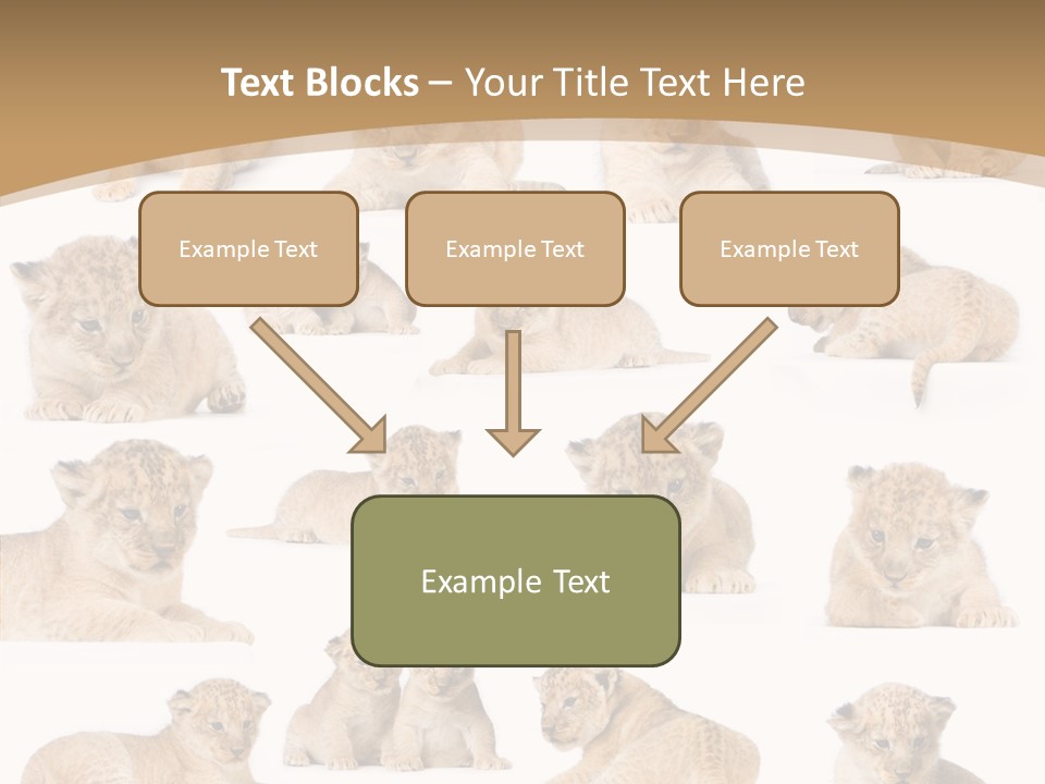 Ensemble Big Five Small PowerPoint Template